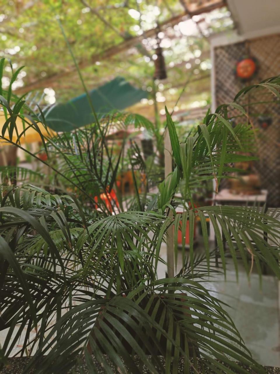 Srinekatan Heritage Villa Homestay Ahmedabad Luaran gambar