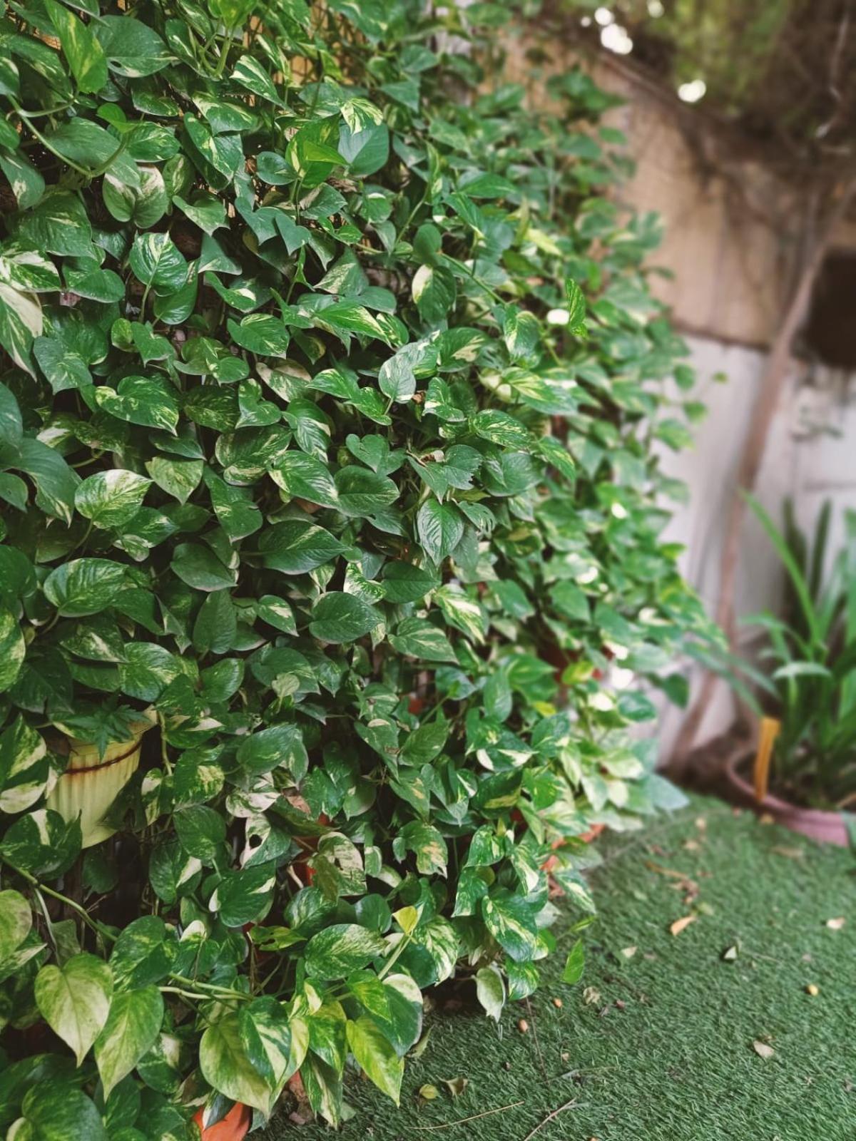 Srinekatan Heritage Villa Homestay Ahmedabad Luaran gambar