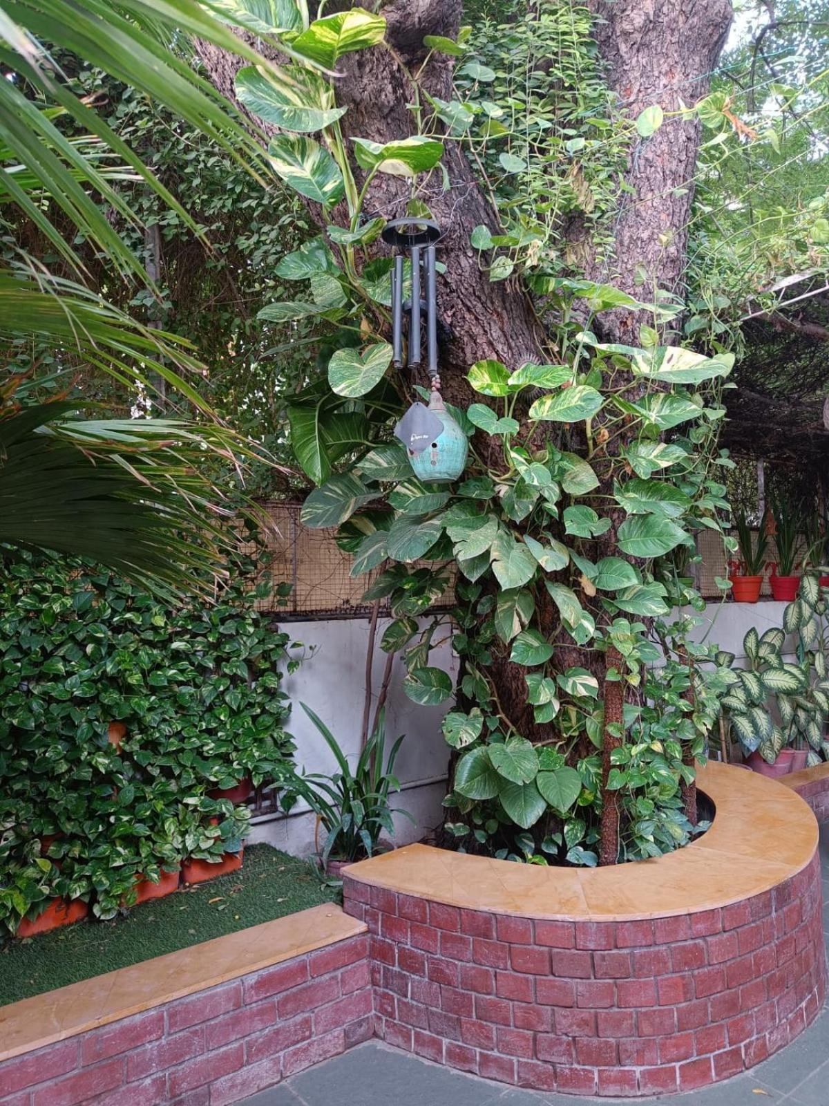 Srinekatan Heritage Villa Homestay Ahmedabad Luaran gambar